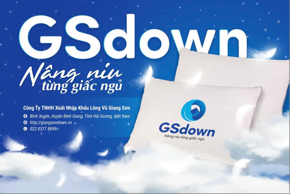 thương hiệu Gsdown