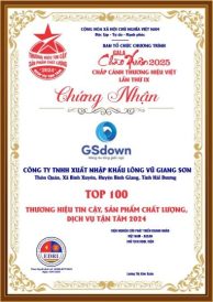 Tiêu chuẩn chất lượng của chúng tôi